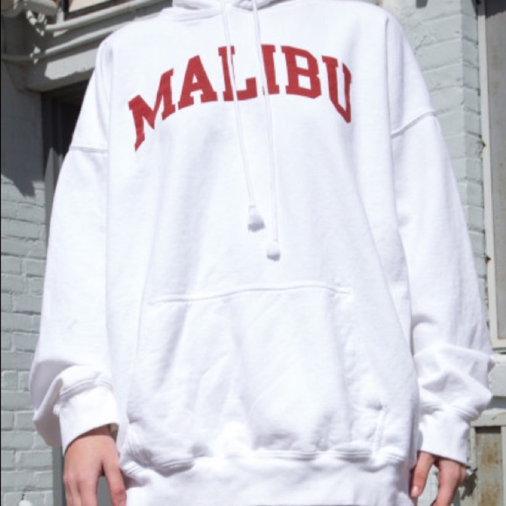 ⚠️BRANDY MELVILLE HOODIE